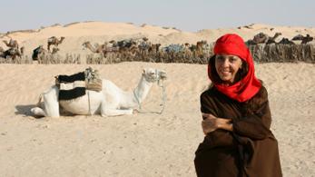 Kamel auf Djerba