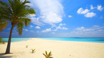 Tropischer Strand der Bahamas