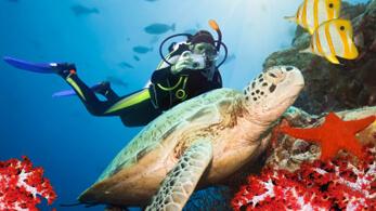 Unterwasserwelt – Bonaire